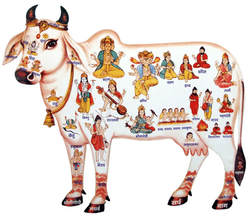 Illustration of the sacred cow from Atharva Veda mantras