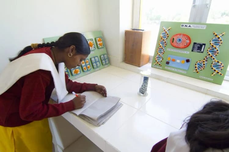 Students in the school science laboratory