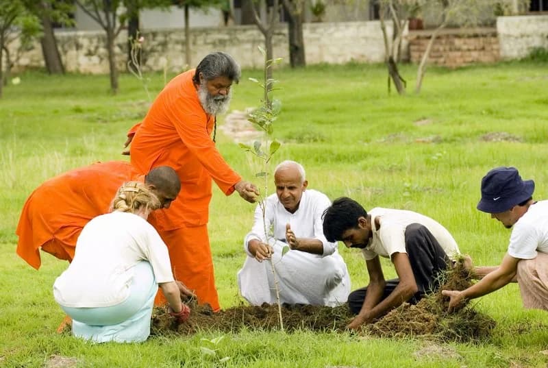 Reforestation project turning the desert green at Om Ashram