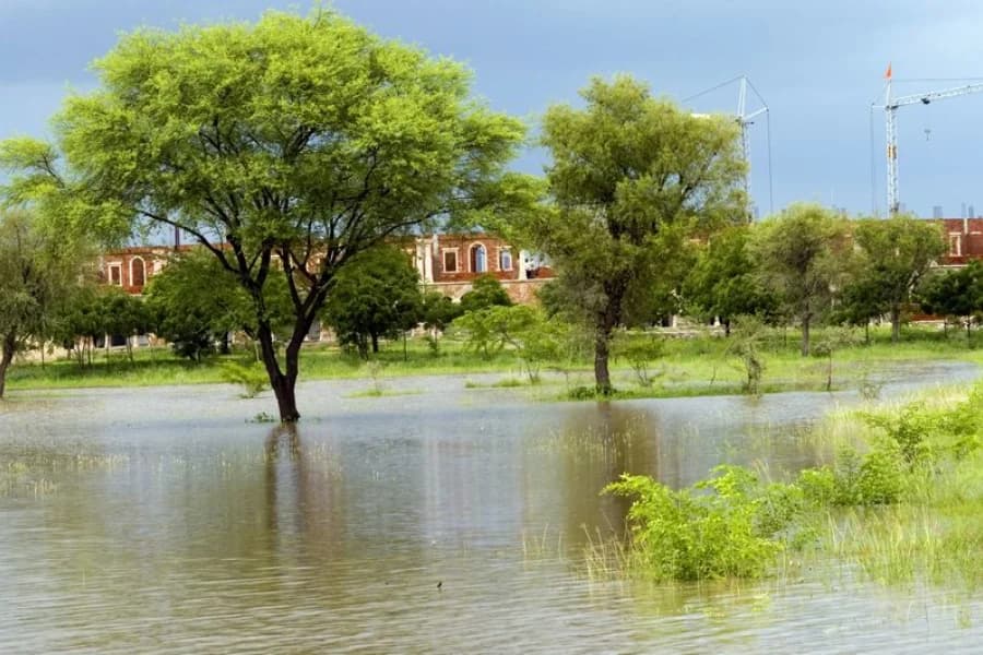Organic garden cultivation at Om Ashram
