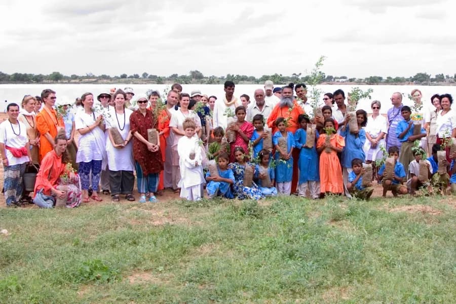 Mature trees from the Om Ashram reforestation initiative