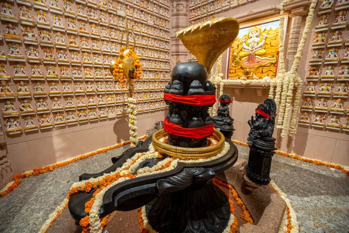 Shiva statue donation gallery